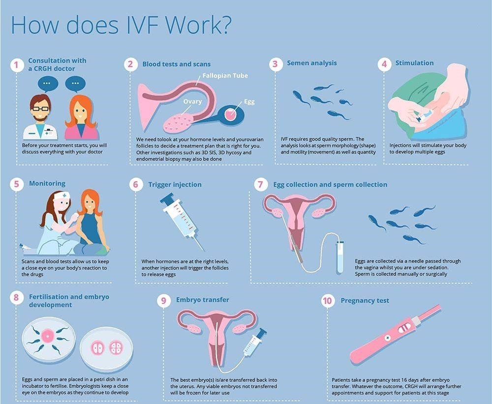 Read more about the article RI Witness Technology:  A Must Know Before IVF
